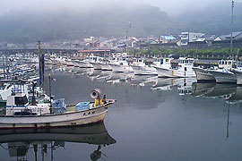 由比漁港