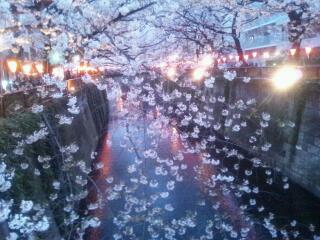 20130327_214451.jpg