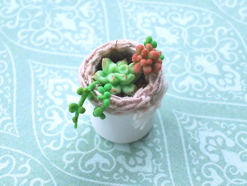 ミニチュア多肉植物