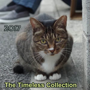 2017 Disc 3