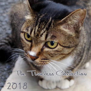 2018 Timeless