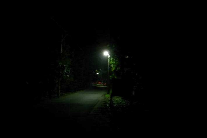 夜景