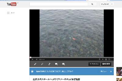 イトヨジグスイム