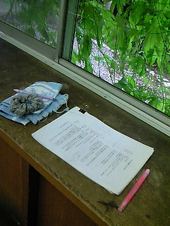 201109251457000.jpg