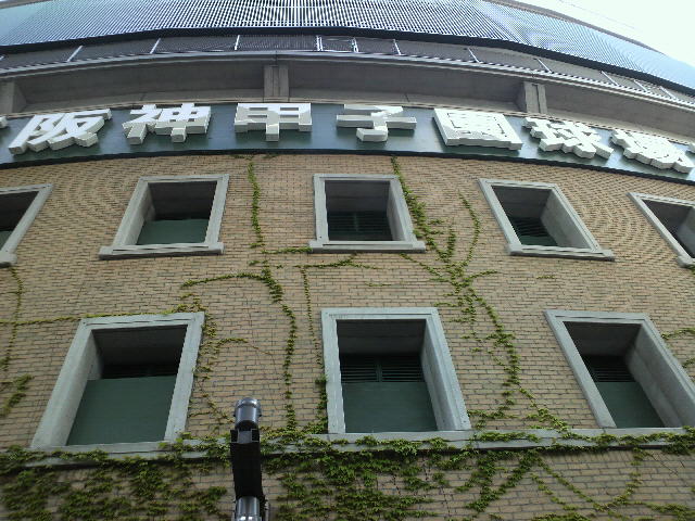 DCIM0541.jpg