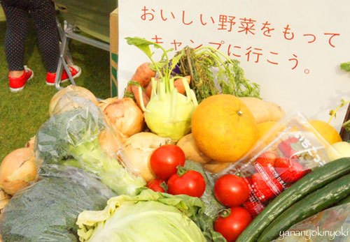 六本木でキャンプ