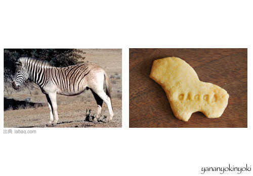 「たべっ子絶滅どうぶつ」を作る(前編)