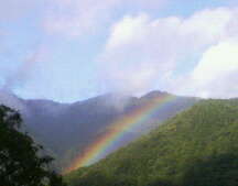 20061202_151686.jpg