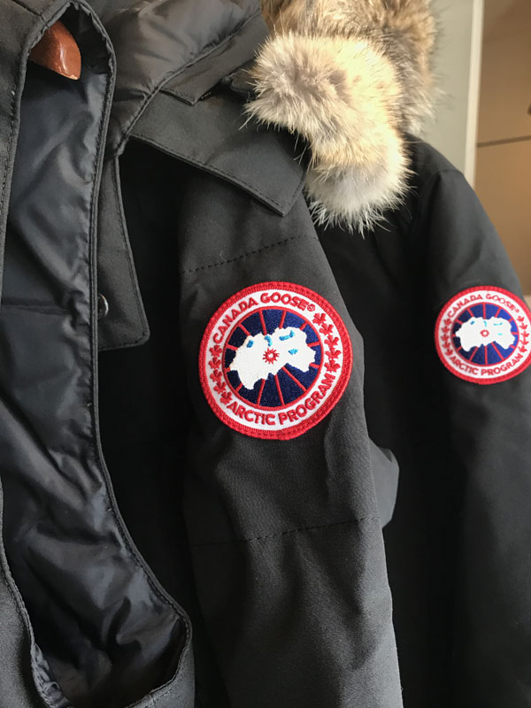 canada-goose.jpg