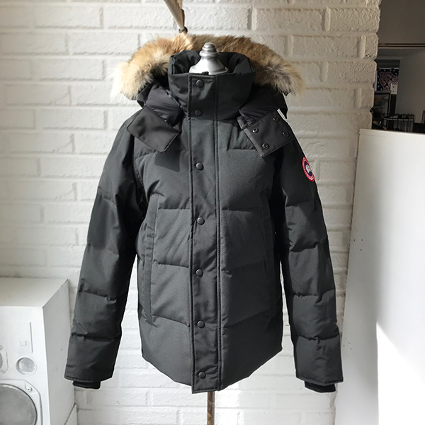 canadagoose (5).JPG