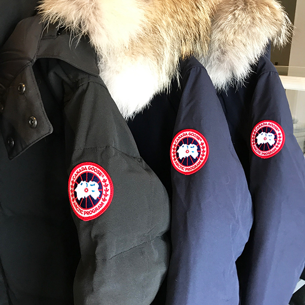 canadagoose (10).JPG