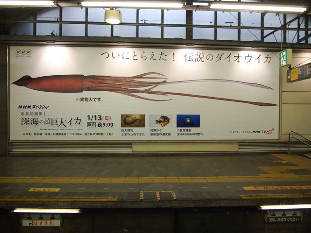 第五四報 イカカワイイデス 殺菌製作所