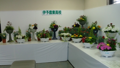 今年もえひめ花まつりに行きました!