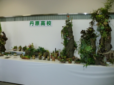 今年もえひめ花まつりに行きました!