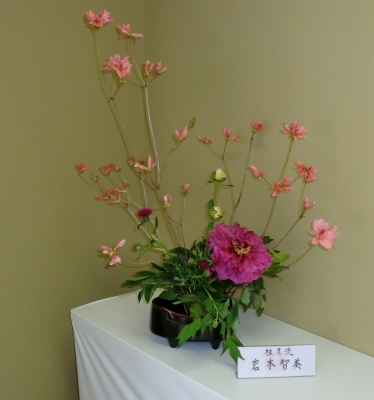 第47回えひめ花まつりでの生け花展示!