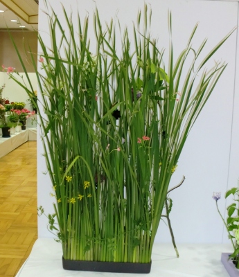 第47回えひめ花まつりでのフラワーアレンジコンテスト展示!