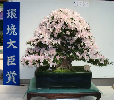 最終日に奥道後さつき展に行きました!