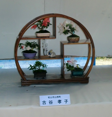 最終日に奥道後さつき展に行きました!