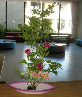 華道部へ行って指導して来ました