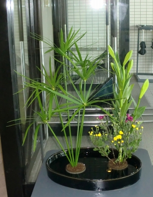華道部へ行って指導して来ました