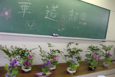 今日は聖カタリナ大学の華道部のレッスン日でした