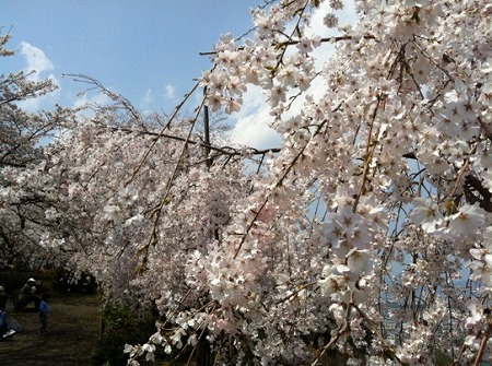20120406_2461419.jpg