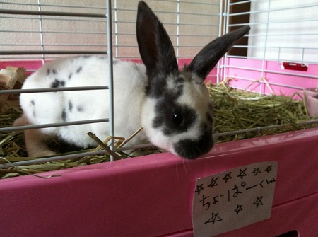 20120506_2488263.jpg