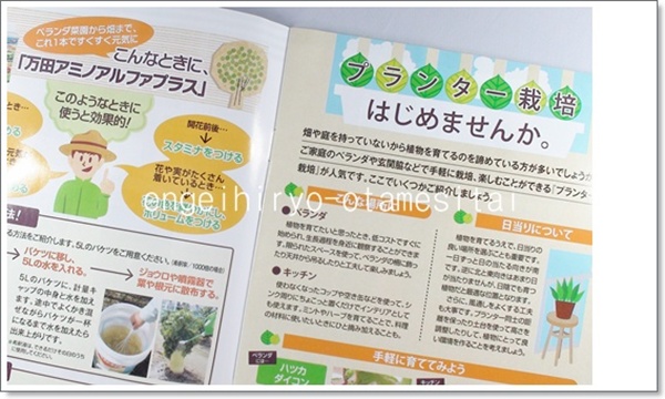 園芸肥料万田アミノアルファプラス初心者向け解説書