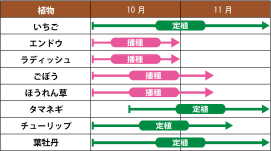万田アミノアルファプラスの秋冬の使い方