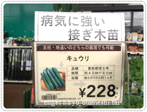 ËüÅÄ¥¢¥ß¥Î¥¢¥ë¥Õ¥¡¤Ç¥¥å¥¦¥ê¤òºî¤í¤¦