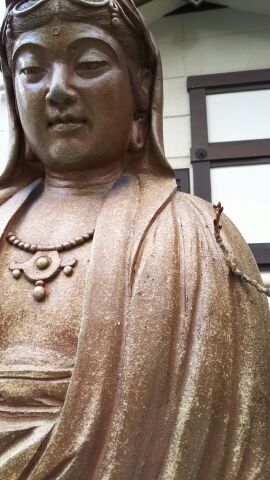 桜つぼみ1.jpg