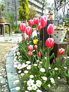 20070411_125645.jpg