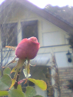 080221_160549_M.jpg