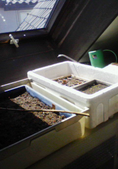 200803151053000.jpg