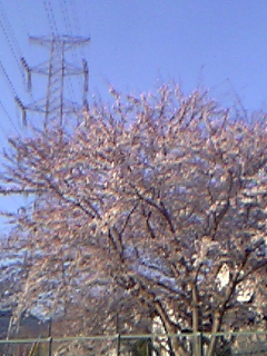 080403_170233_M.jpg
