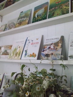 20080519123709.jpg