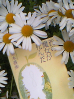 080522_183811_M.jpg