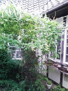 080704_124858.jpg