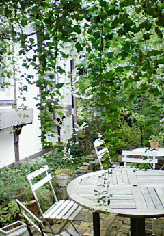 200809060949000.jpg
