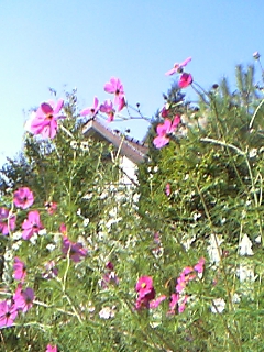 081002_092714_M.jpg
