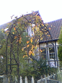 081113_160852_M.jpg