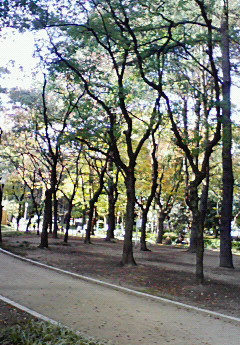 200811141239000.jpg
