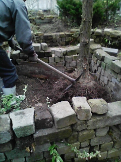 090213_140559.jpg
