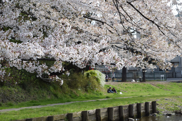 blog036