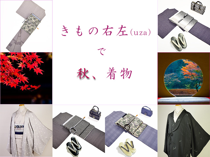 着物右左(uza)秋着物