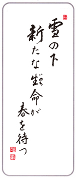 yukinoshita