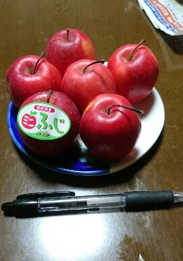 りんご可愛いや Gpy スタッフブログ 観葉植物レンタルのグリーンプラザ大和園