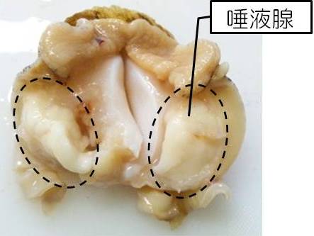 大変なことに えりの優しくひなたぼっこ