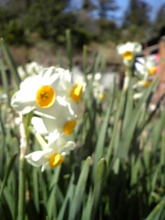 080225_105821.jpg