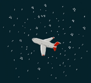 plane in the star
